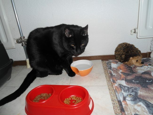 erna63 uploaded   285  day/s  ago