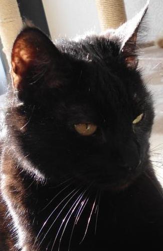 erna63 uploaded   253  day/s  ago