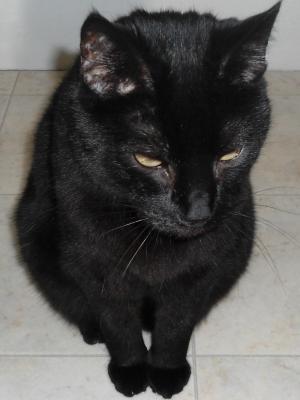 erna63 uploaded   253  day/s  ago