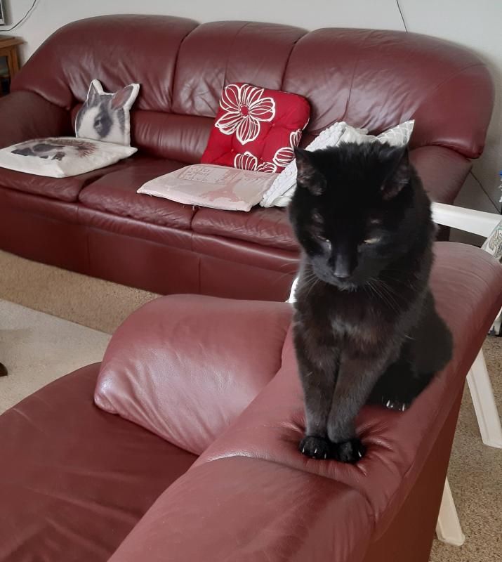 erna63 uploaded   222  day/s  ago