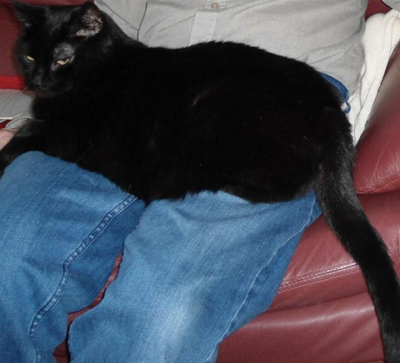 erna63 uploaded   221  day/s  ago