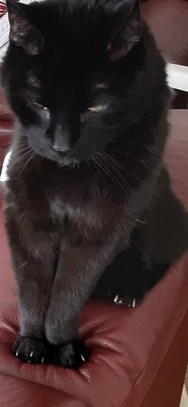 erna63 uploaded   221  day/s  ago