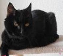 erna63 uploaded   218  day/s  ago