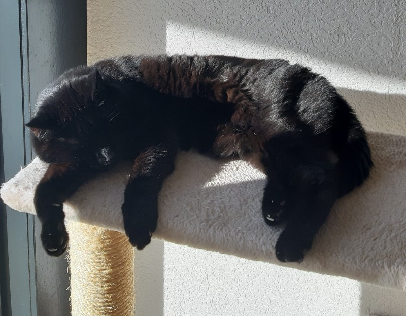 erna63 uploaded   364  day/s  ago