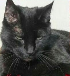 erna63 uploaded   1 year/s ago