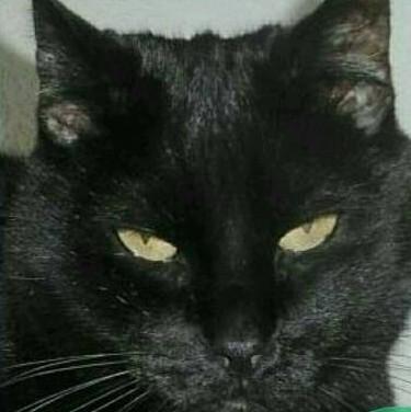 erna63 uploaded   191  day/s  ago