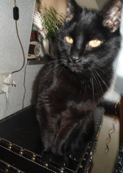 erna63 uploaded   199  day/s  ago