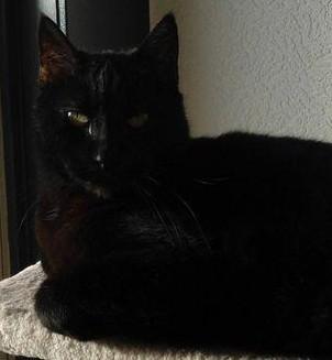 erna63 uploaded   199  day/s  ago