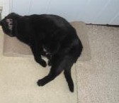 erna63 uploaded   157  day/s  ago