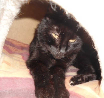 erna63 uploaded   153  day/s  ago