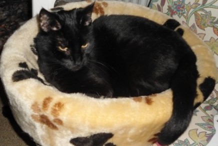 erna63 uploaded   153  day/s  ago