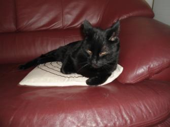 erna63 uploaded   146  day/s  ago