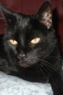 erna63 uploaded   146  day/s  ago