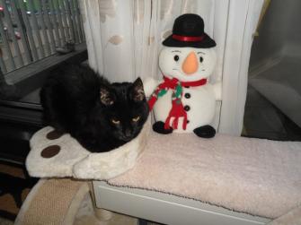 erna63 uploaded   137  day/s  ago