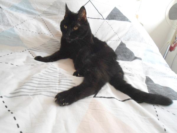 erna63 uploaded   96  day/s  ago