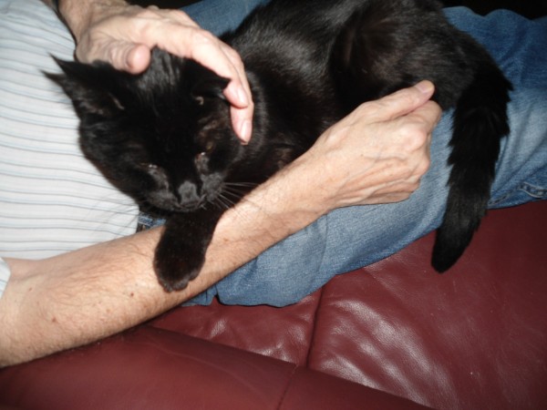 erna63 uploaded   96  day/s  ago