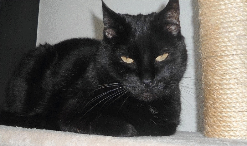 erna63 uploaded   93  day/s  ago