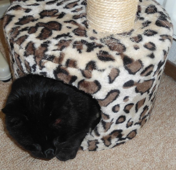 erna63 uploaded   93  day/s  ago