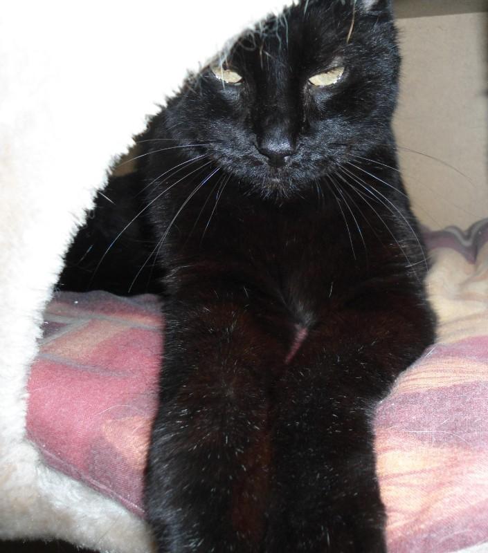 Julio of the erna63 family