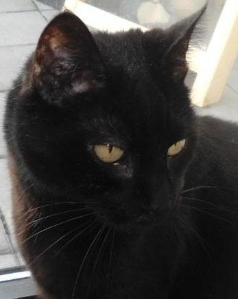 Julio of the erna63 family