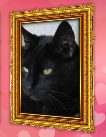 Julio of the erna63 family