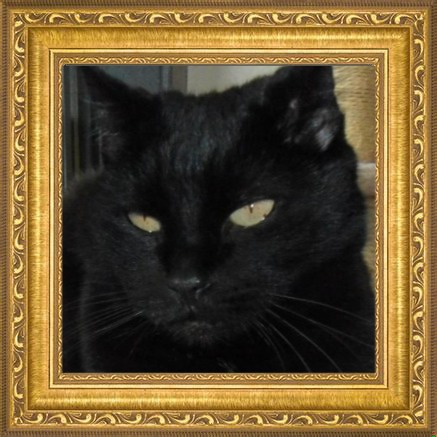 Julio of the erna63 family