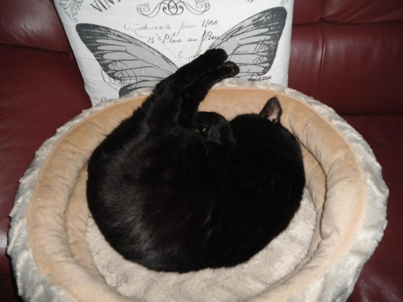 Julio of the erna63 family