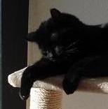 Julio of the erna63 family