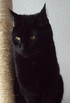 Julio of the erna63 family