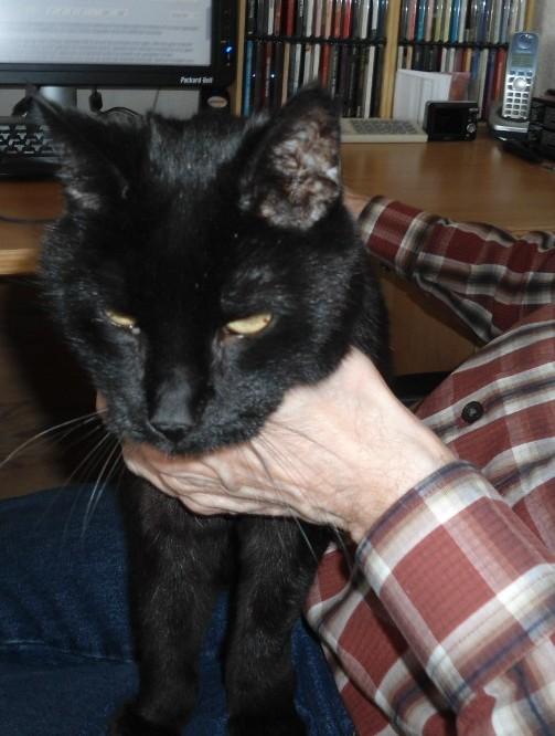 Julio of the erna63 family