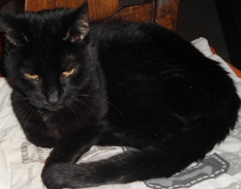 Julio of the erna63 family