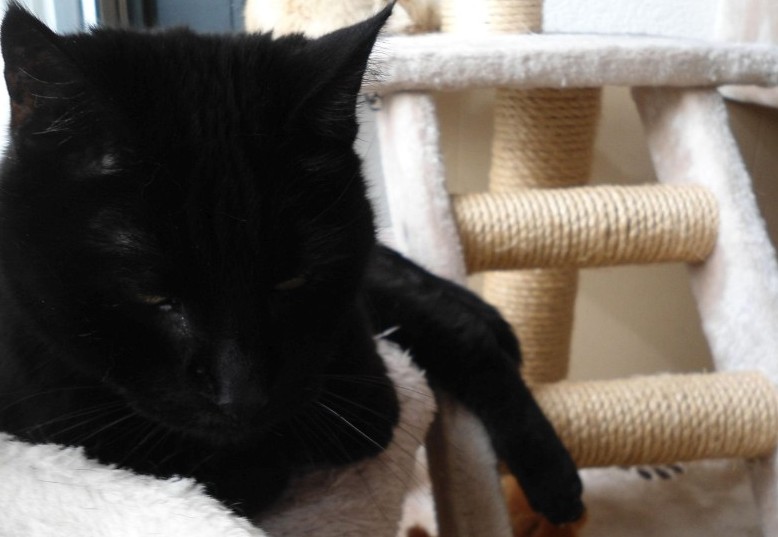 Julio of the erna63 family