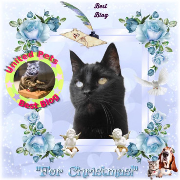 Julio of the erna63 family