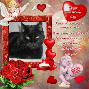 Julio of the erna63 family