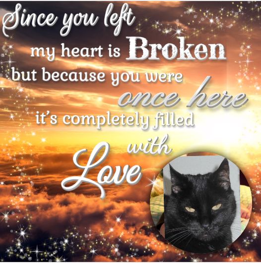 Julio of the erna63 family