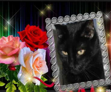 Julio of the erna63 family