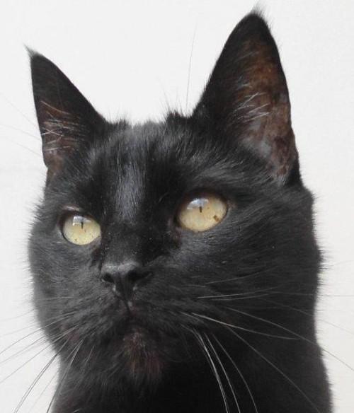 erna63 uploaded   34  day/s  ago