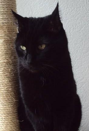 erna63 uploaded   34  day/s  ago