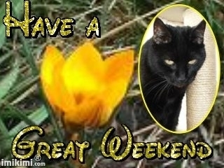 erna63 uploaded   34  day/s  ago