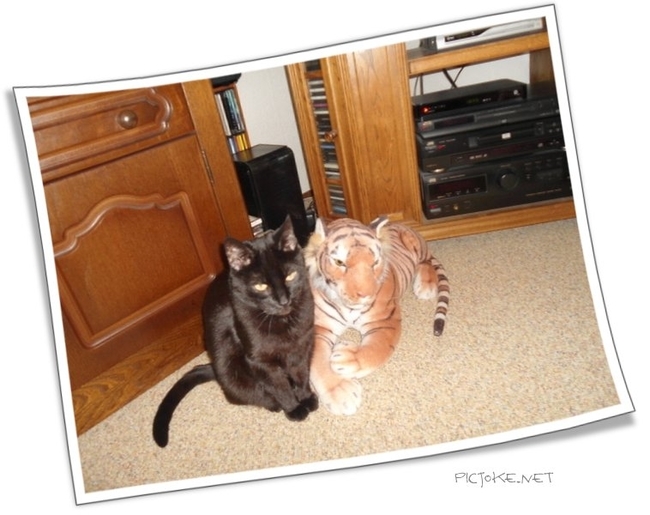 erna63 uploaded   34  day/s  ago