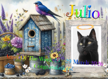 erna63 uploaded   18  day/s  ago