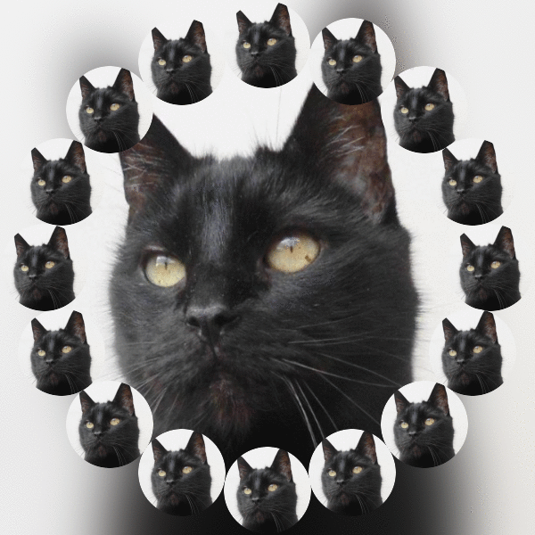 Julio of the erna63 family