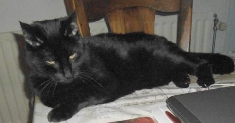 Julio of the erna63 family