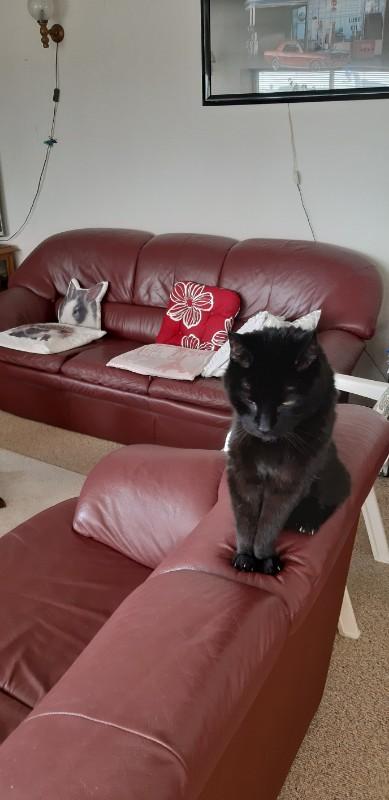 Julio of the erna63 family