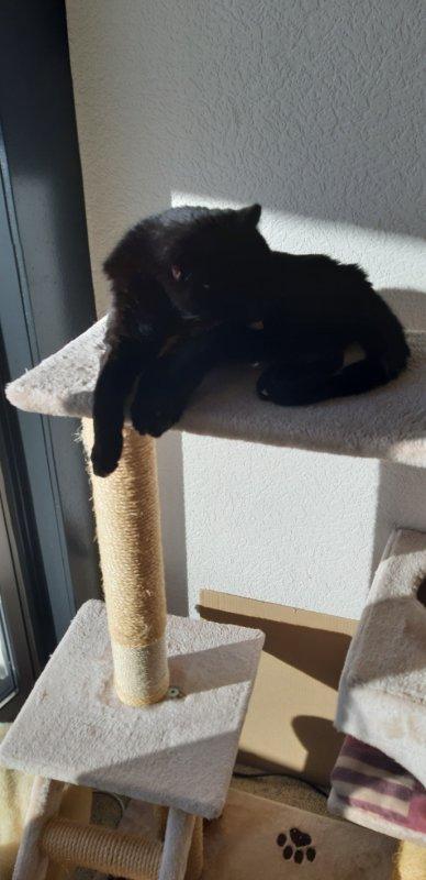 erna63 uploaded   13 hour/s ago