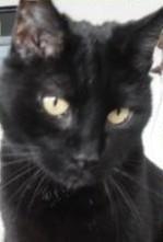 Julio of the erna63 family