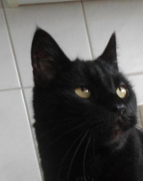 Julio of the erna63 family