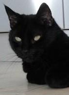 Julio of the erna63 family