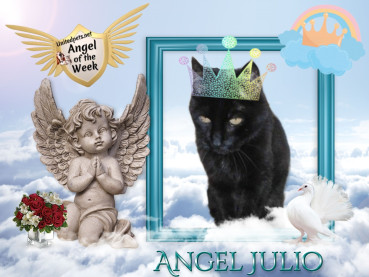 erna63 uploaded   19  day/s  ago