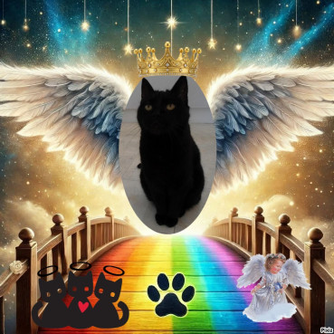 erna63 uploaded   16  day/s  ago